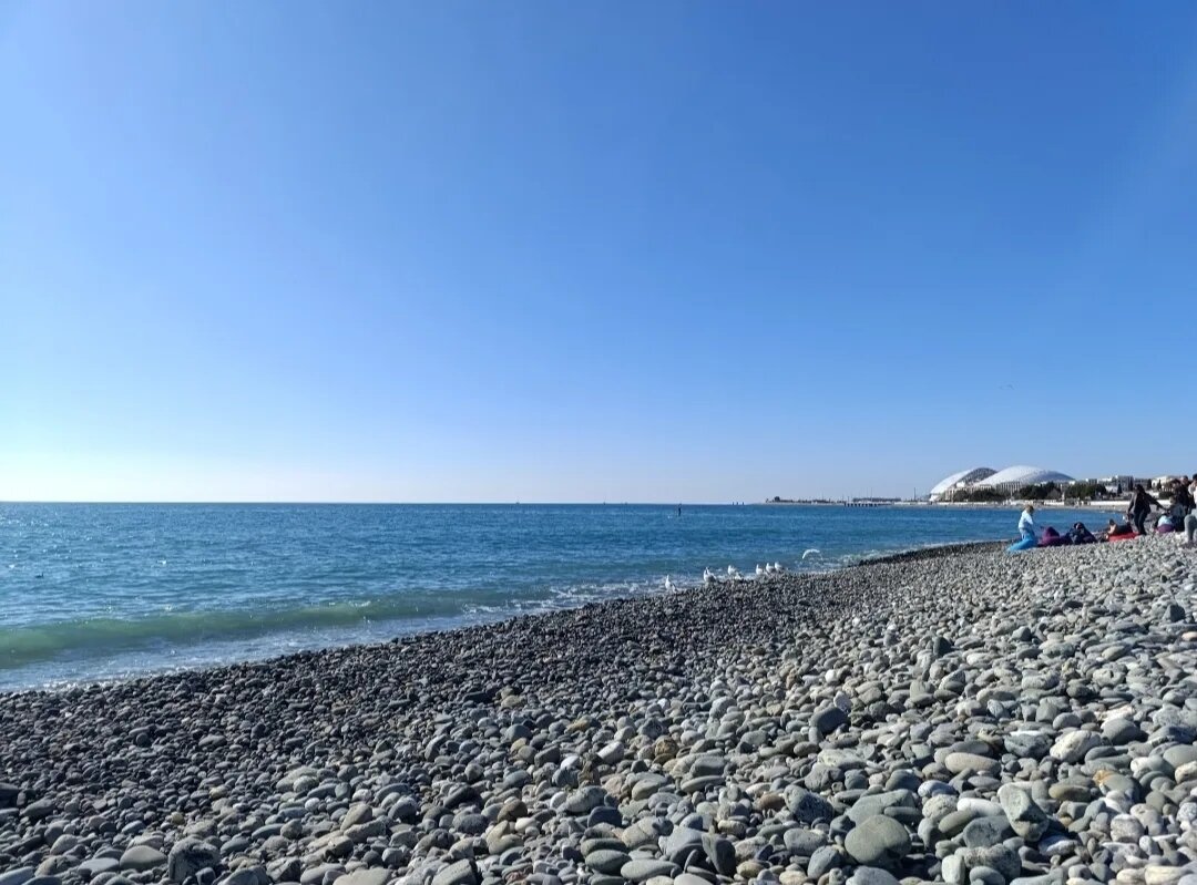 Семейный отдых в Сочи в марте: чем заняться и куда сходить