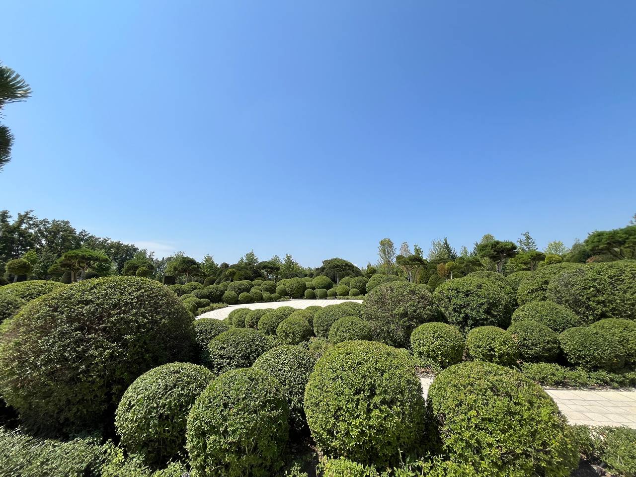 Что посмотреть в Краснодаре за один день: прогулки по парку