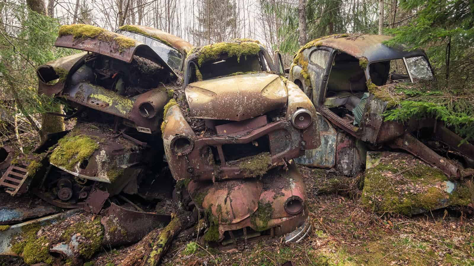 Кладбище старых автомобилей в шведском лесу