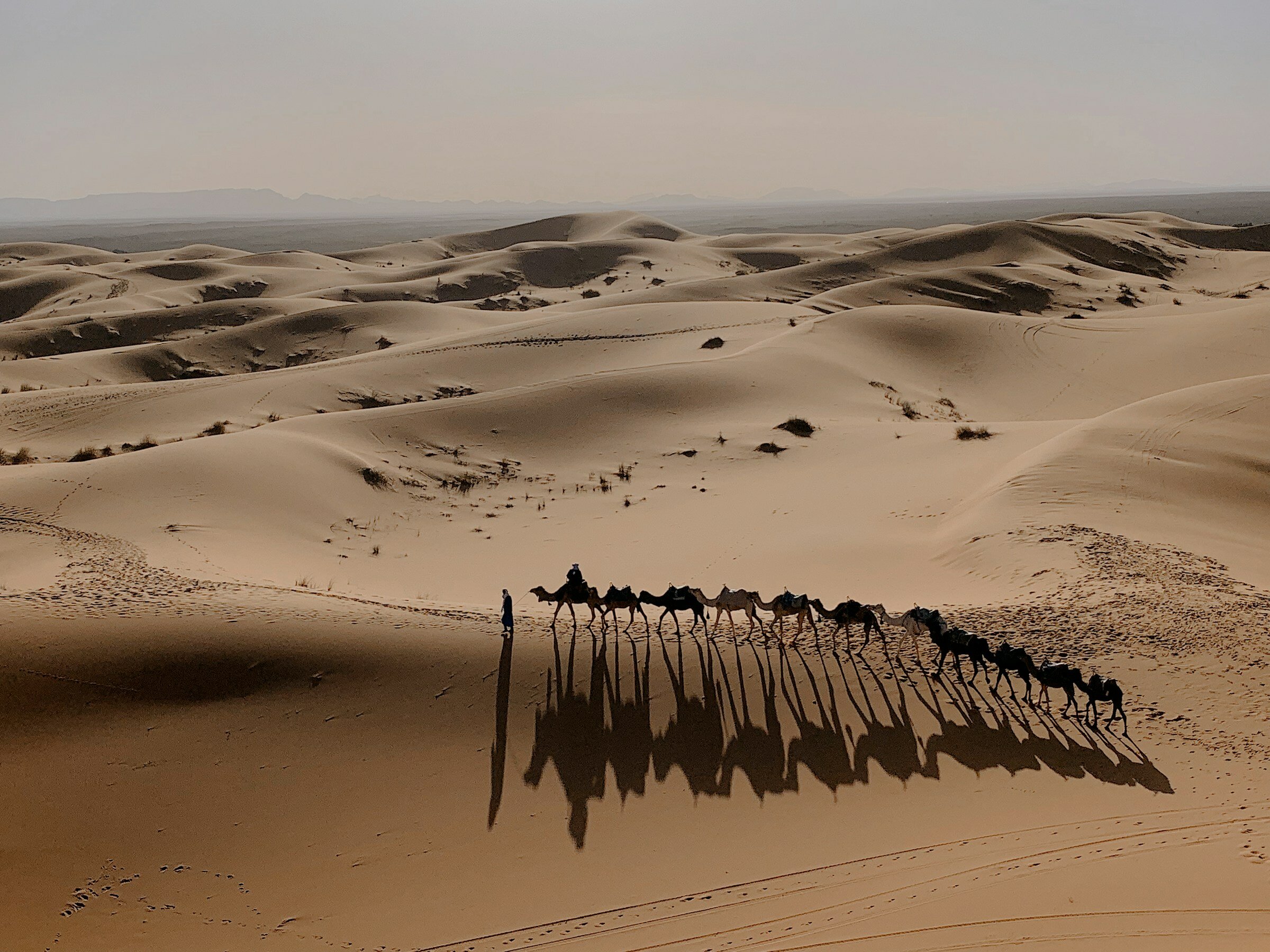 Если отправляетесь в Алжир, точно нужно посмотреть Сахару — крупнейшую пустыню на Земле.