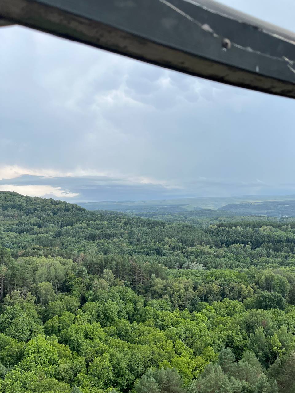 Кисловодск за неделю: опыт проживания, экскурсий и расходов