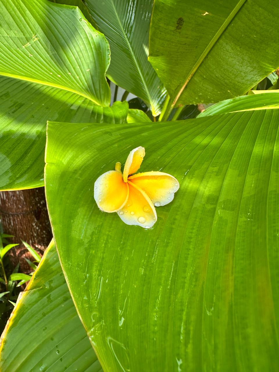 Настоящий Бали без туроператора: наше путешествие на остров на 14 дней в несезон