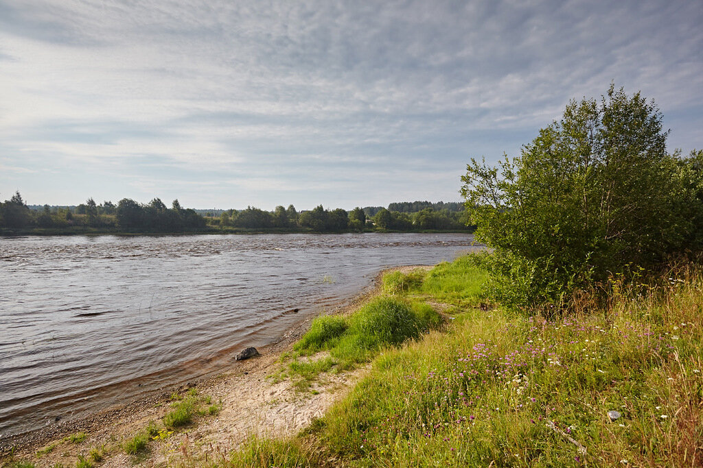 Река Онега летом прогревается, можно искупаться
