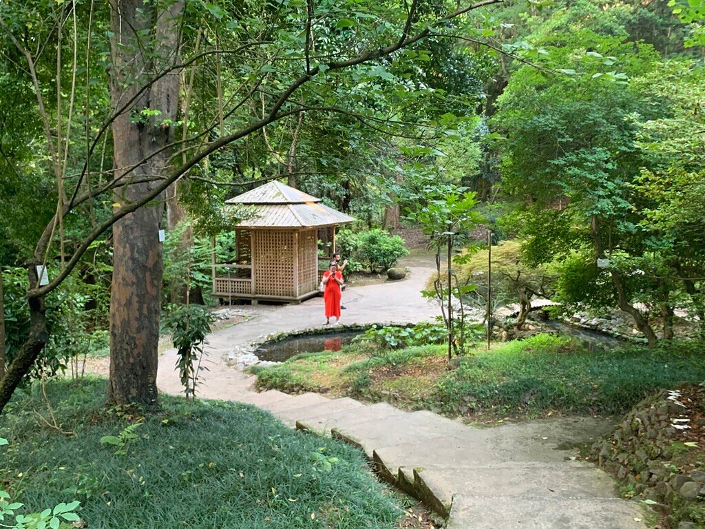 Входной билет в одну из главных достопримечательностей Батуми — Ботанический сад — стоит 20 лари (563 рубля) на целый день.