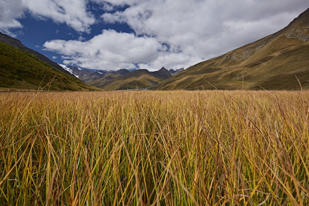 Высокогорные болота на Кавказе совсем другие, нежели на
севере.