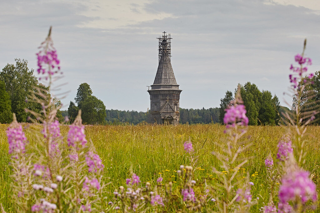 Посмотреть Красную Лягу приезжают экскурсионные автобусы с
туристами
