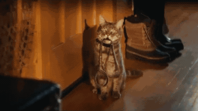 Компания Chevrolet сняла забавное рекламное видео с пикапом Silverado и котом (который ведёт себя, как собака)