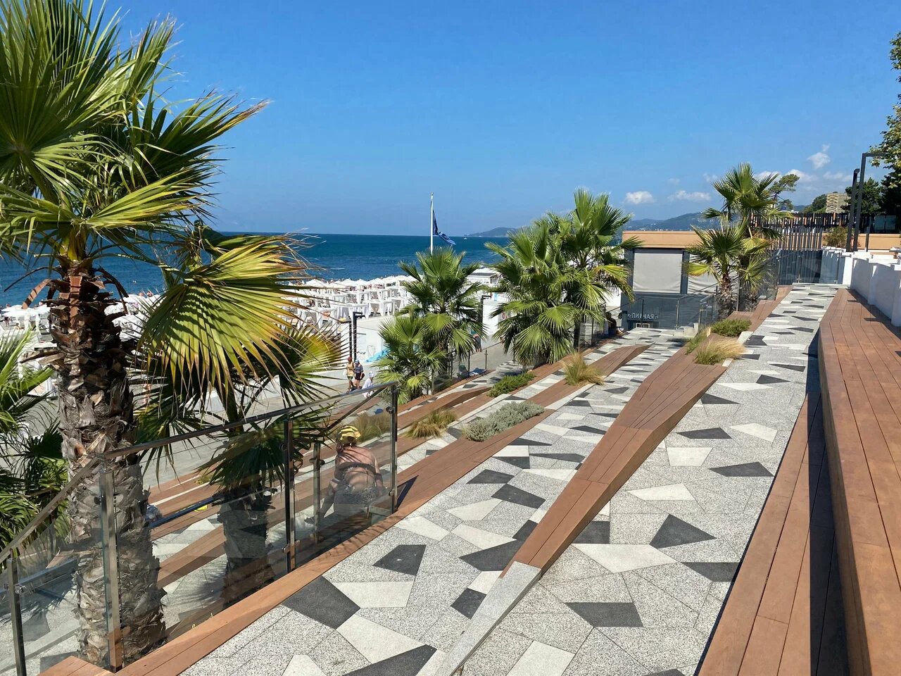 На черноморском побережье России только сочинские пляжи и набережные щеголяют красавицами-пальмами.