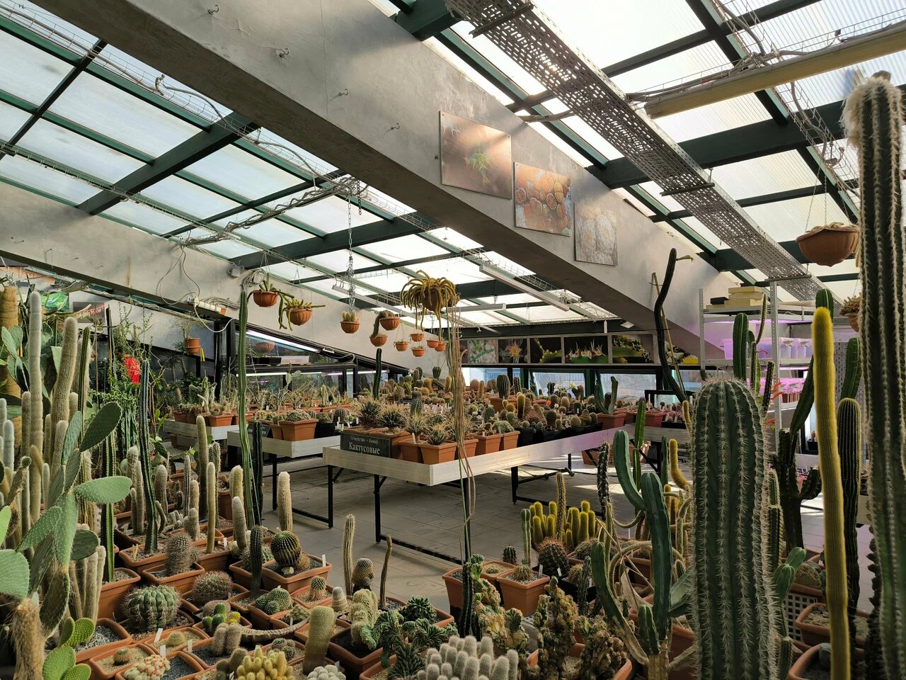 Jinsiy aloqa f m f m video