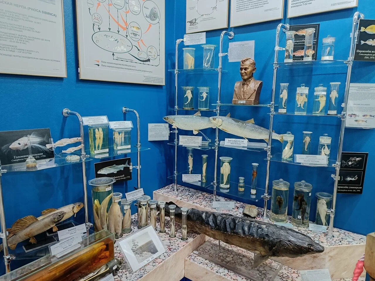 В озере и его окрестностях насчитывается 2600 видов животных и растений, из них 1500 можно встретить только здесь.