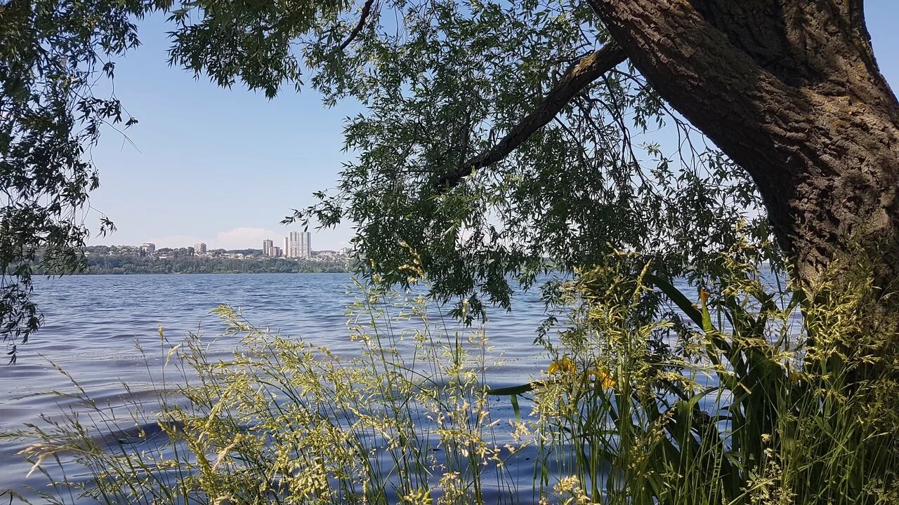 Отдых в Воронеже: пляжи, прогулки в заповеднике и бобровый городок