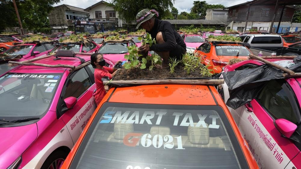 Безработные таксисты Таиланда стали разводить огороды на крышах своих машин