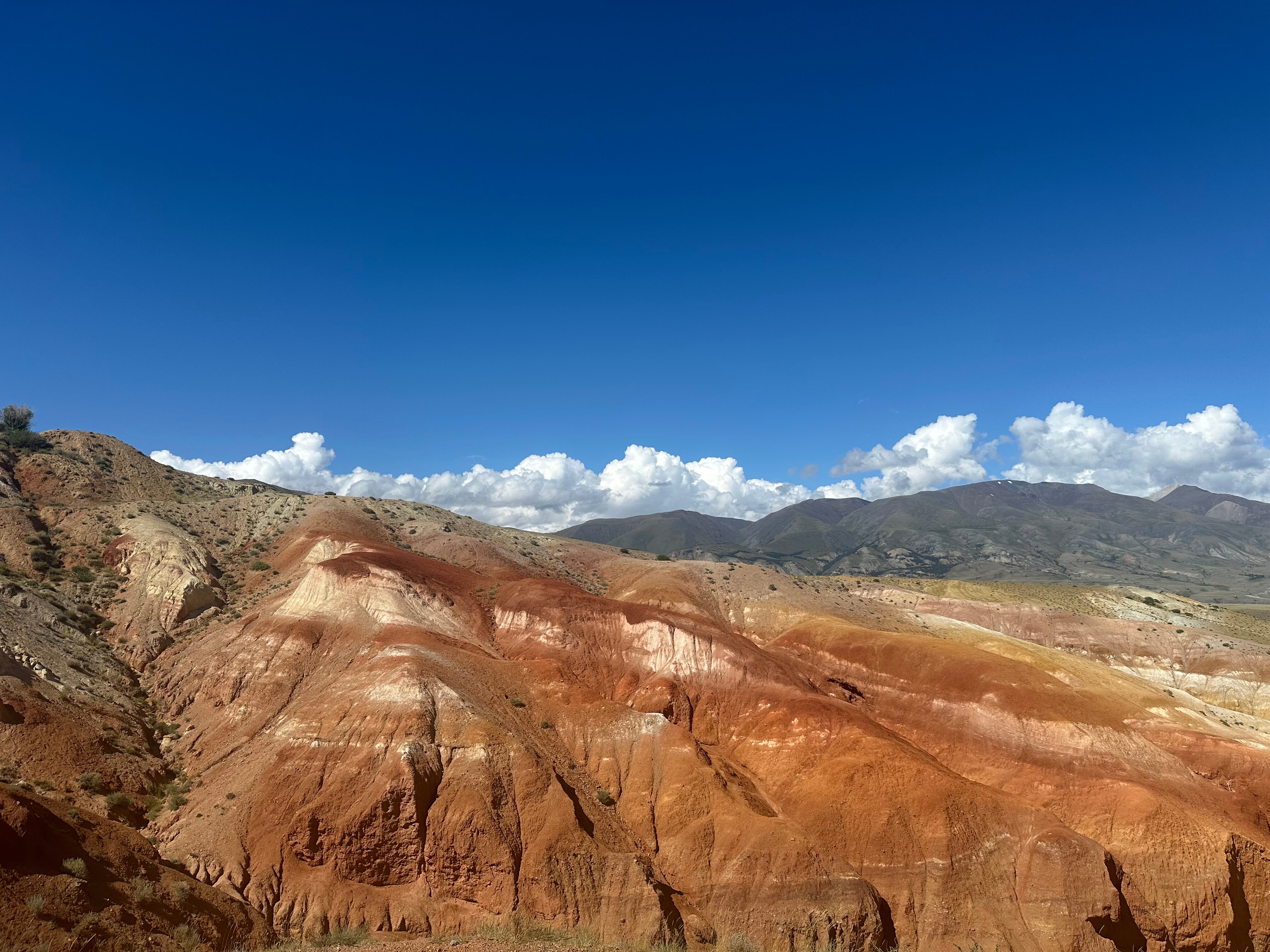 Алтай за 5 дней: сколько стоят индивидуальные экскурсии, отель в Манжероке и оленина на обед