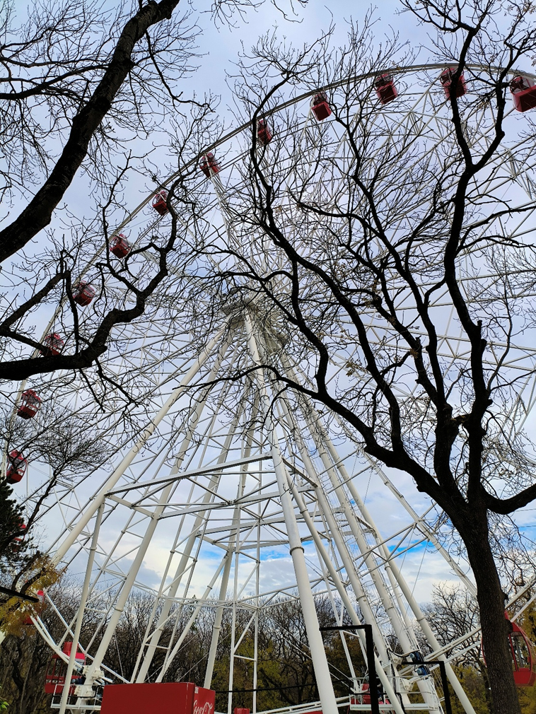  Высота колеса обозрения составляет 65 метров
