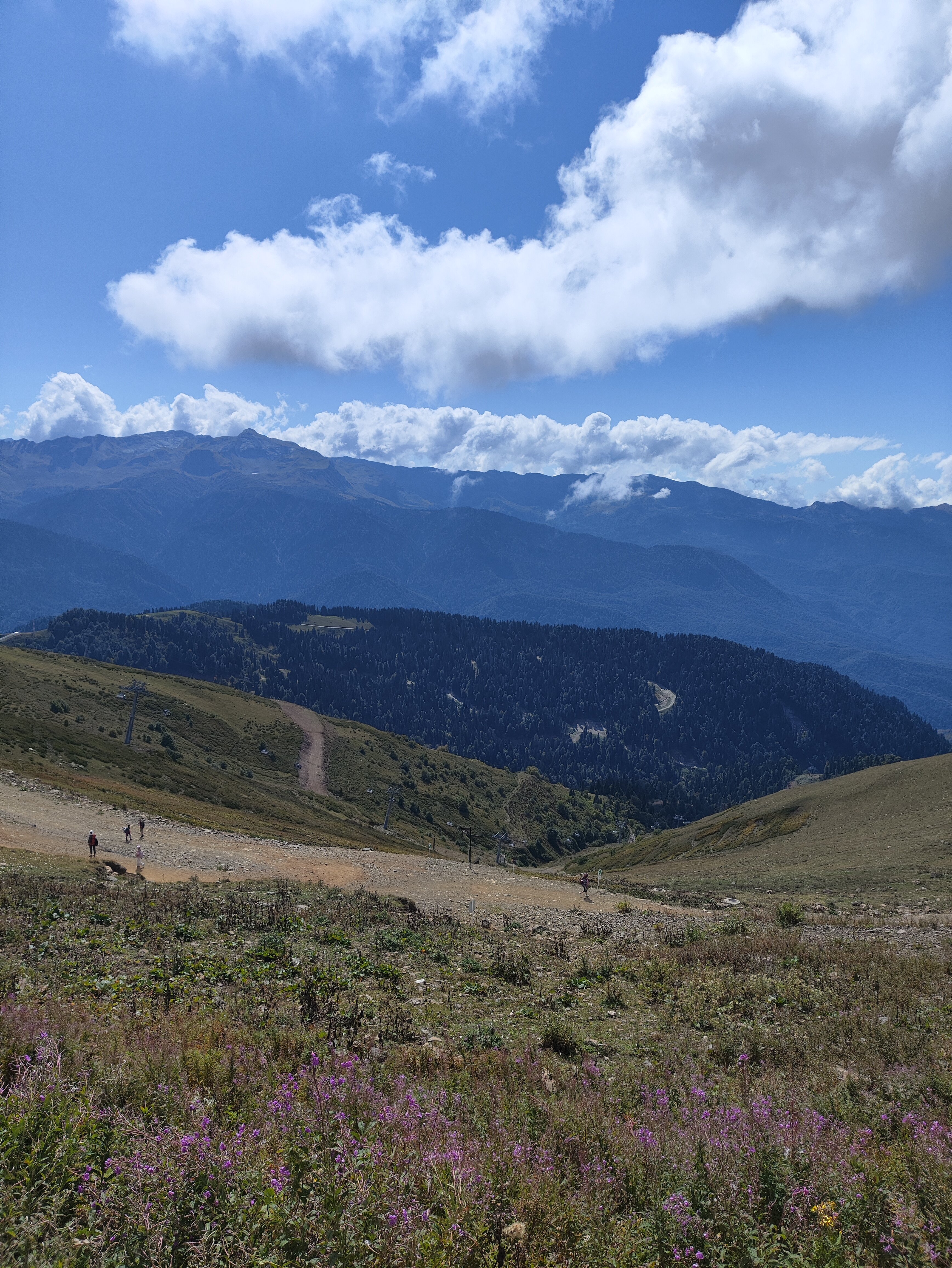 Вид на один из склонов на вершине Роза Пик курорта Роза Хутор



