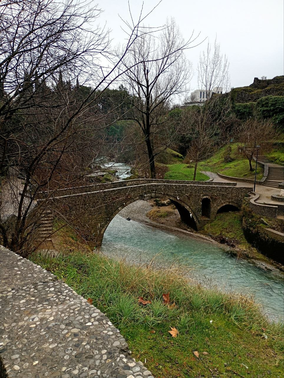 Подгорица: как провести зимний уик-энд с собакой и без ноутбука