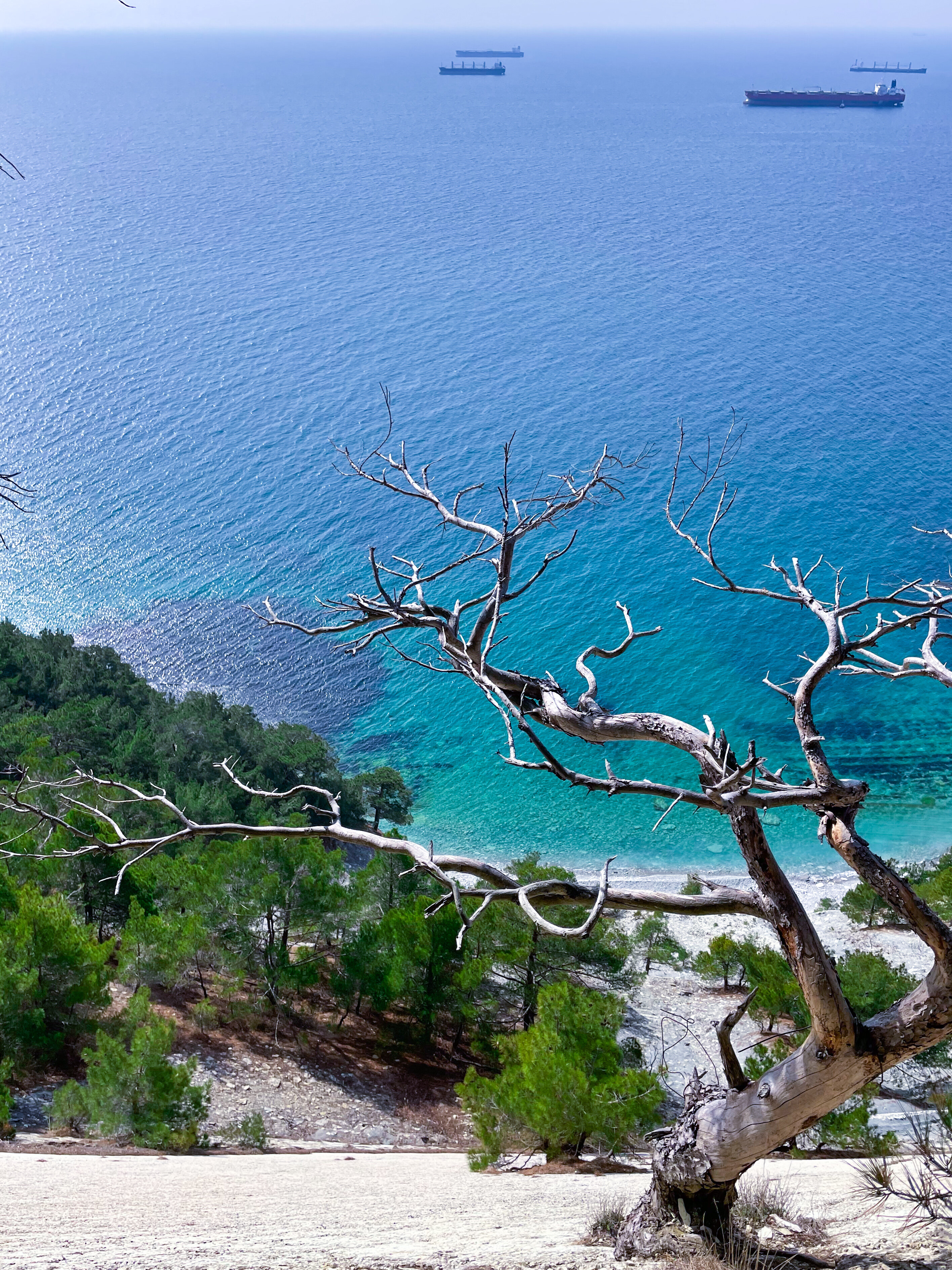 Фотография: Виктория Узорова




