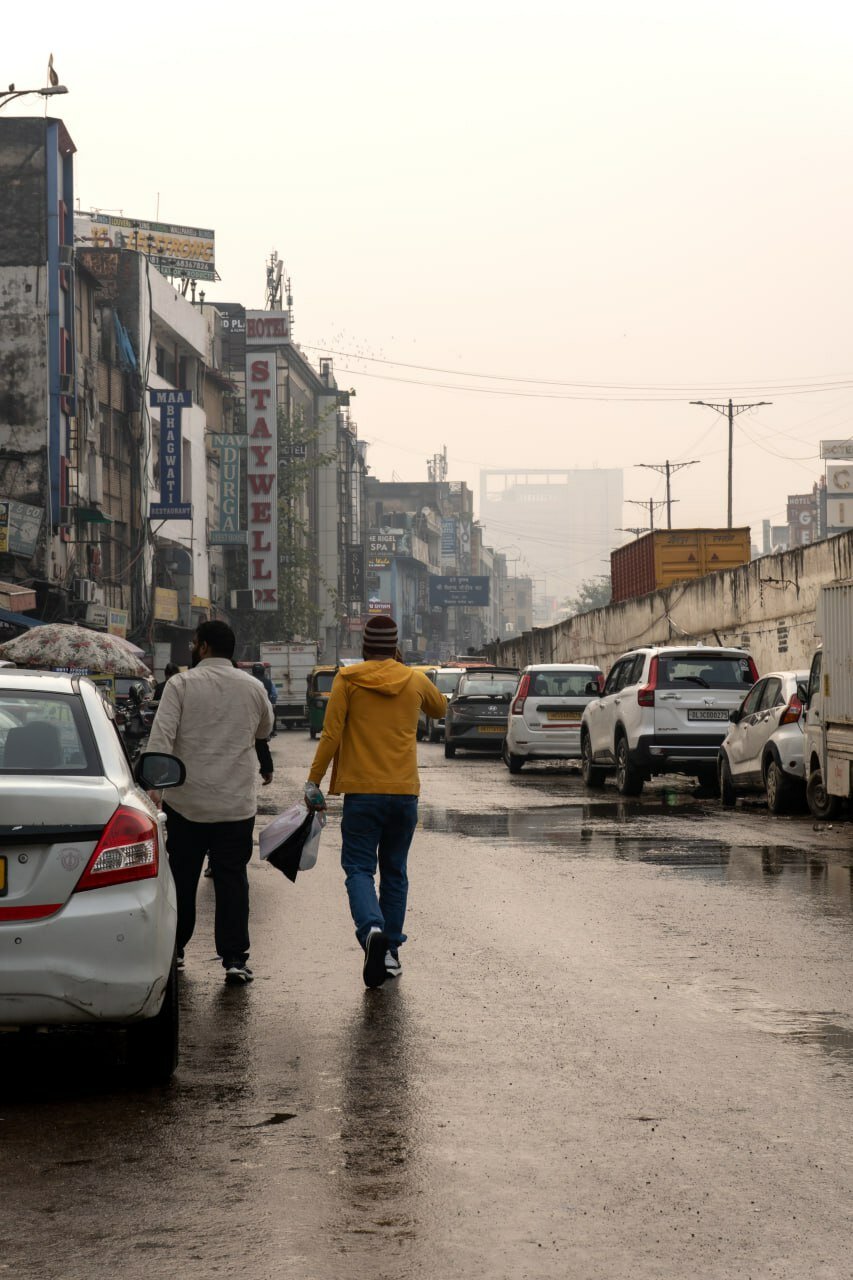 Путешествие в Дели: броуновское движение по-индийски