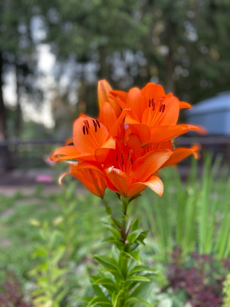 Как выглядит отдых на современной турбазе в Ленинградской области