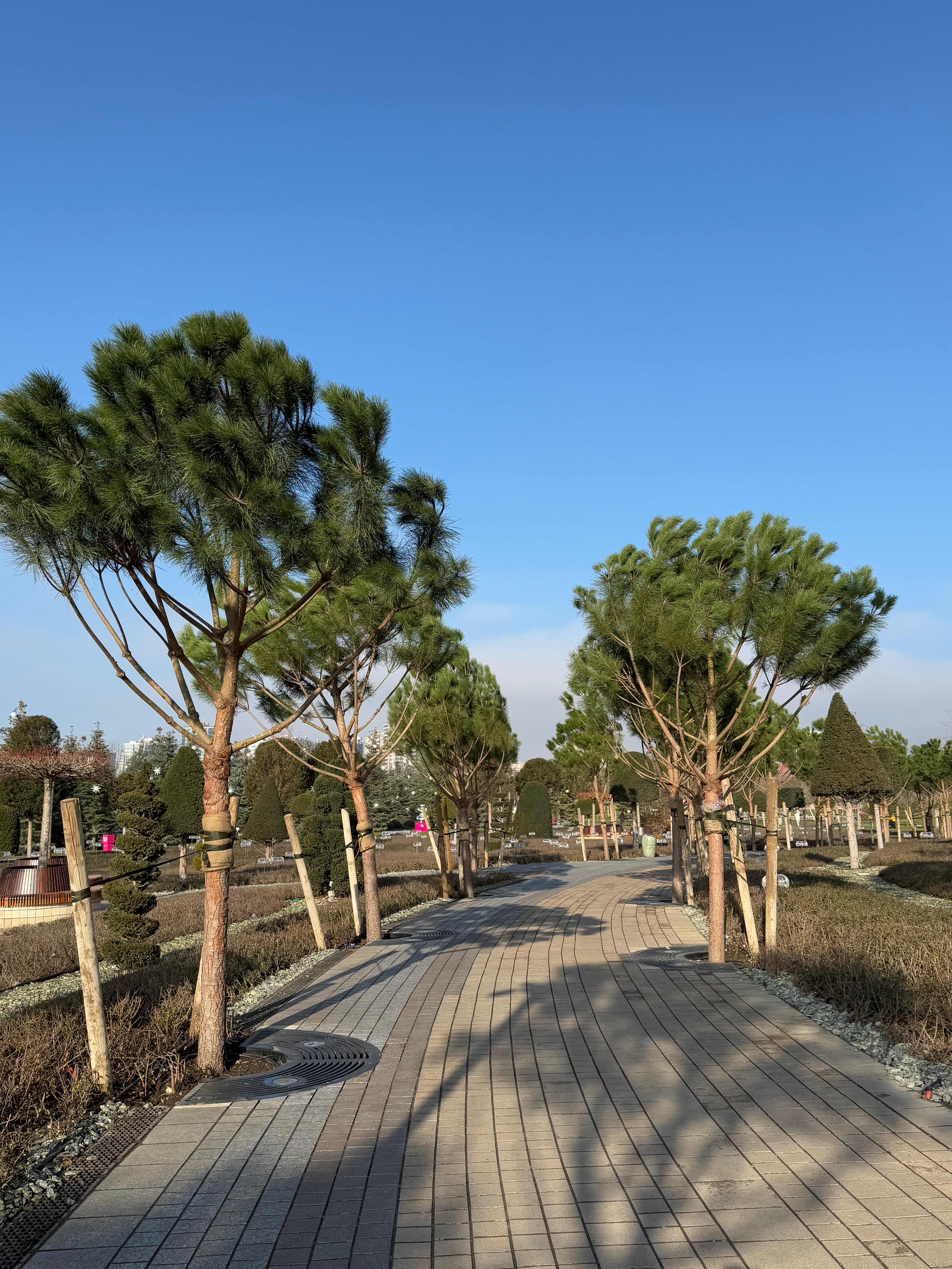 Парк Галицкого — лучший повод поехать в Краснодар