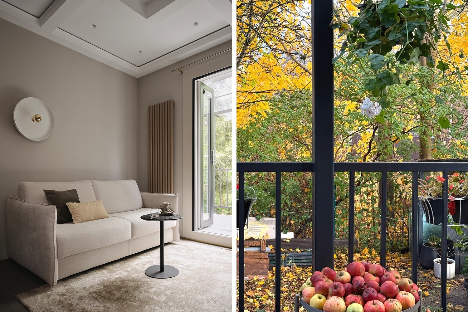 Личный сад в сердце города: история необычной калининградской квартиры