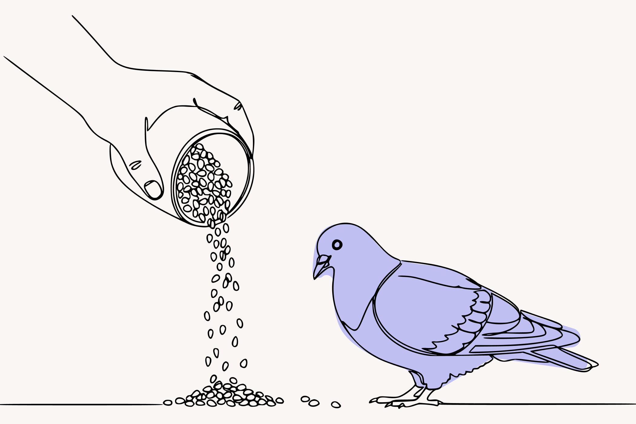 Можно ли кормить голубей во дворе многоквартирного дома