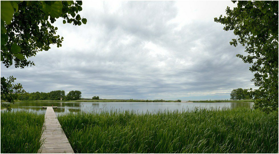 К самому озеру также ведёт
деревянная пешеходная тропа, которая проходит через ольховый лес.