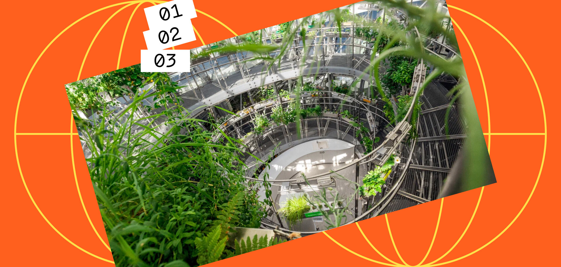 Onlaynda qora tanlilar bilan bolgan gangbang porno videolarini tomosha qiling