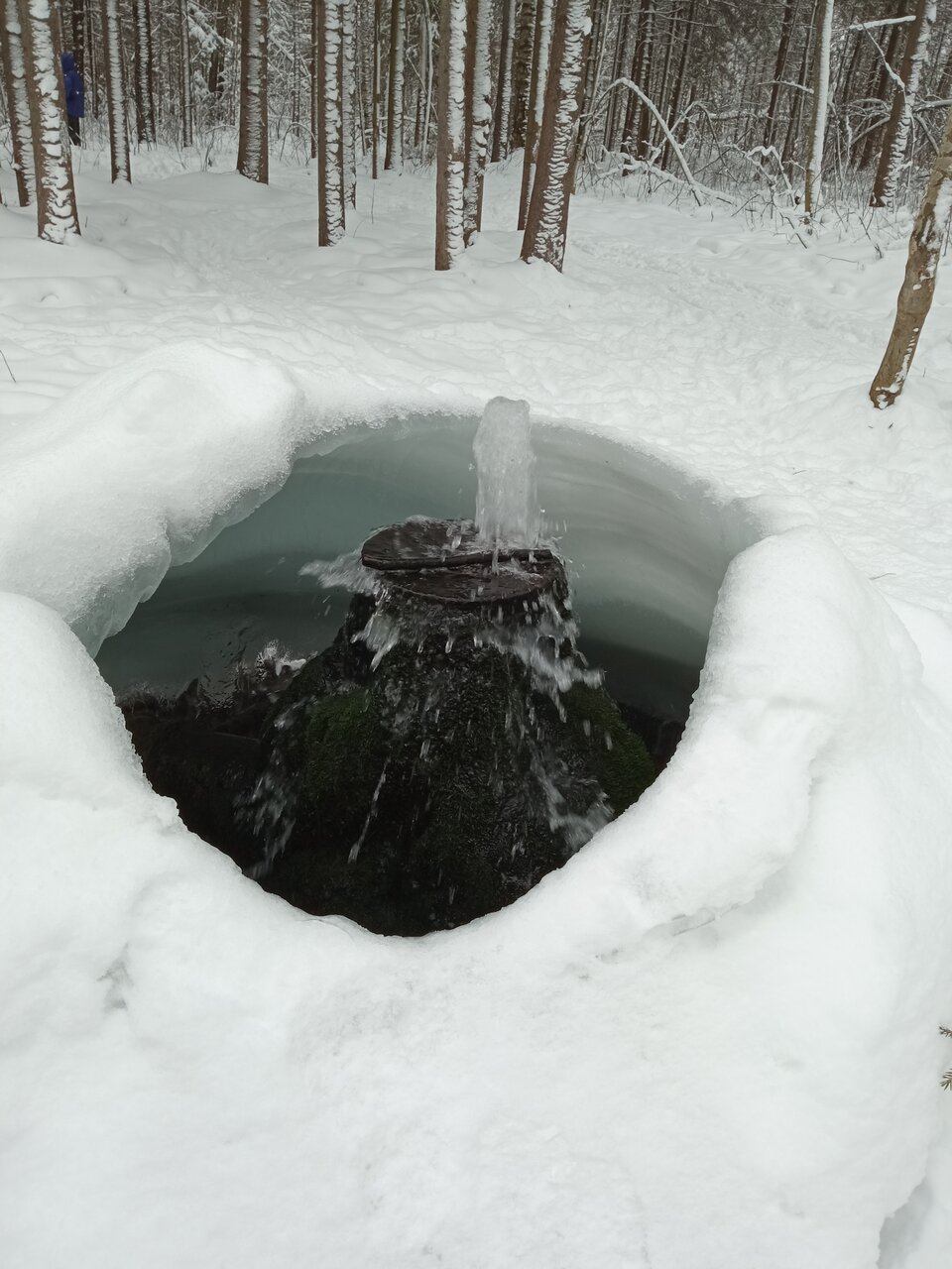 Местные жители из посёлка Корпиково используют воду из «гейзеров» как питьевую.