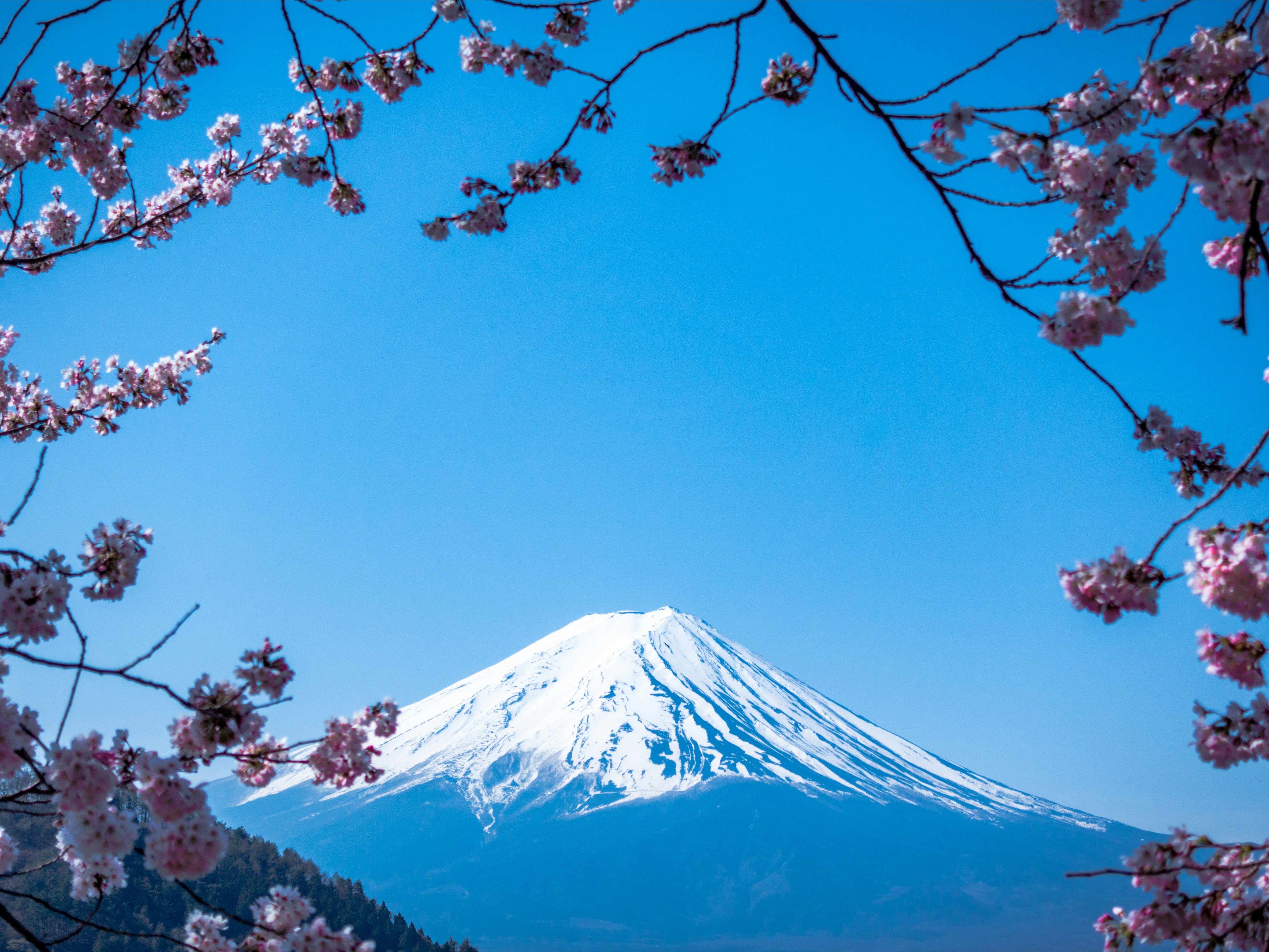 В Японии ограничили доступ к горе Фудзи и району Гион в Киото
