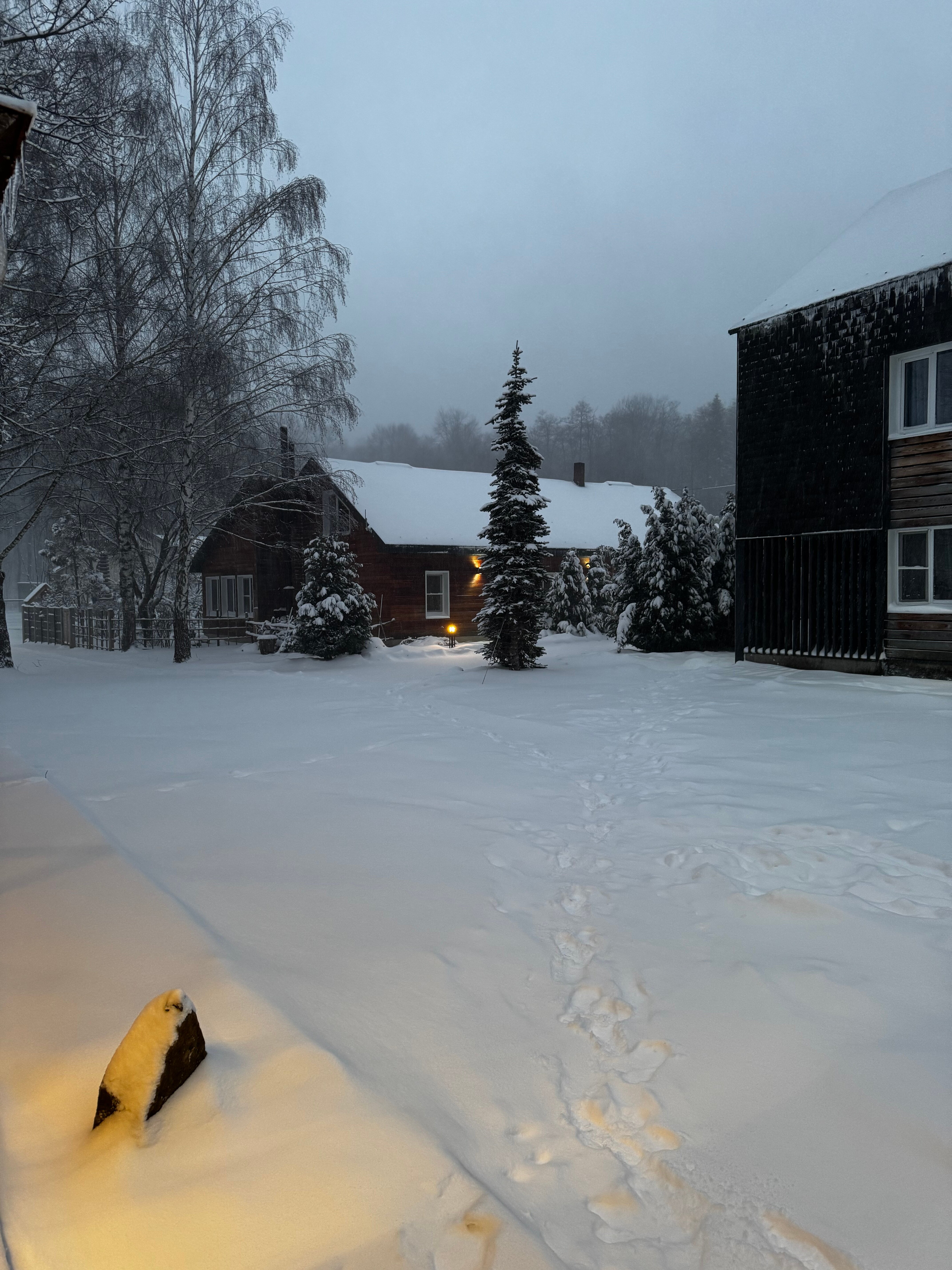 Плато Лаго-Наки зимой: почему стоит ехать и как добраться