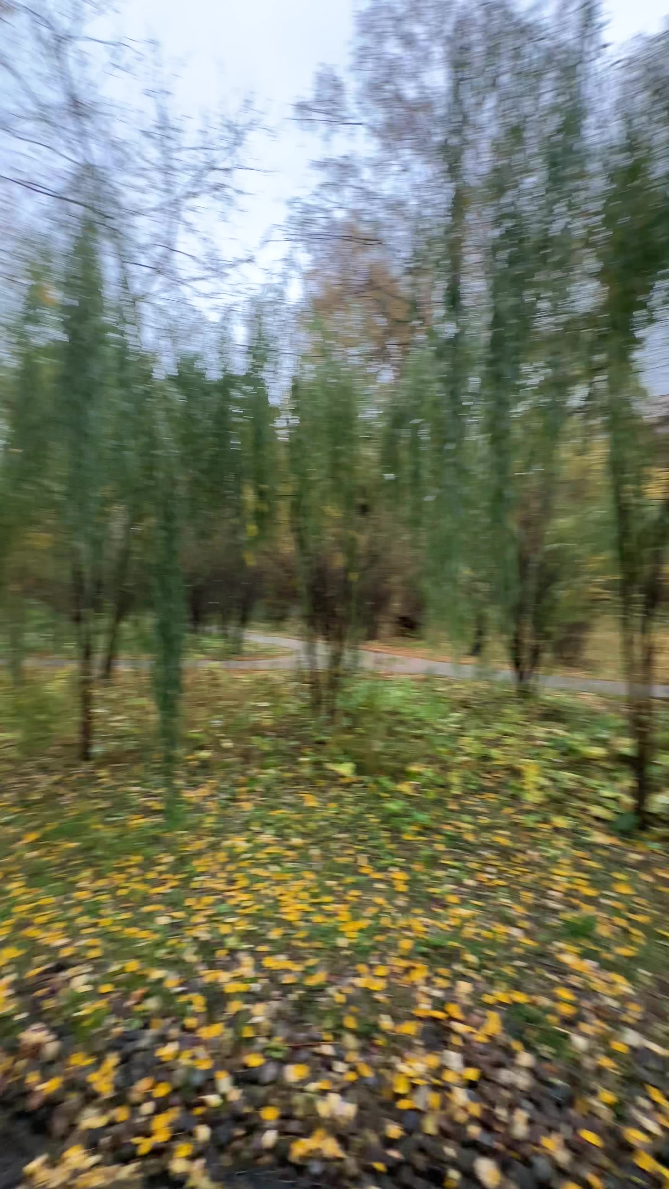 Virtual jinsiy aloqa