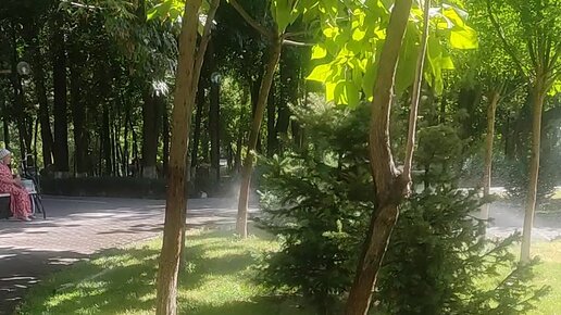 Алғаш рет жыныстық қатынасқа түсу: видеодағы қыздықтан айырылу