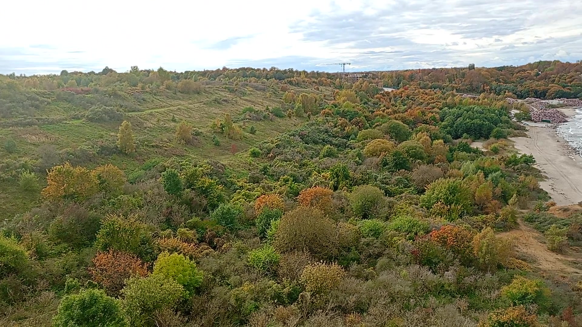 Kaliningradda fohishani portlatishga buyurtma bering