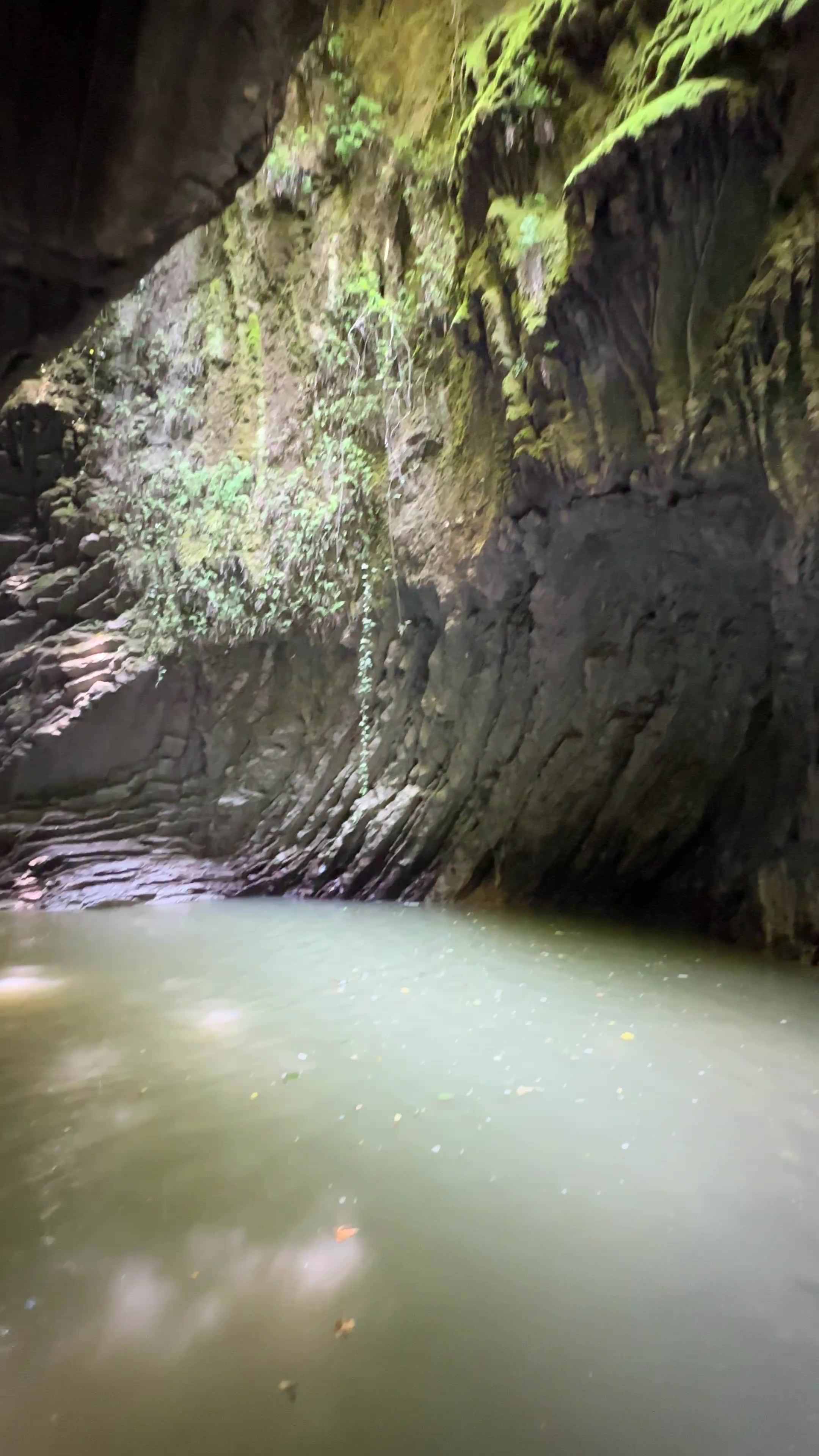 G тамаша жезөкшелер