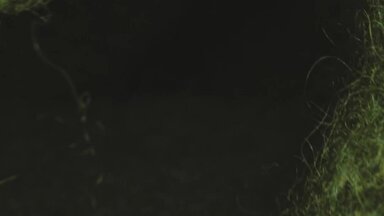 Видео для Olovo