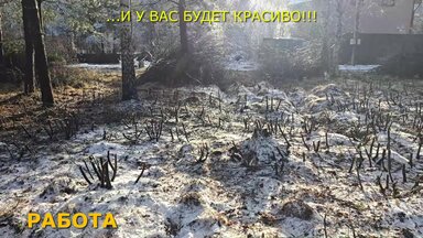 Дробилка веток в работе