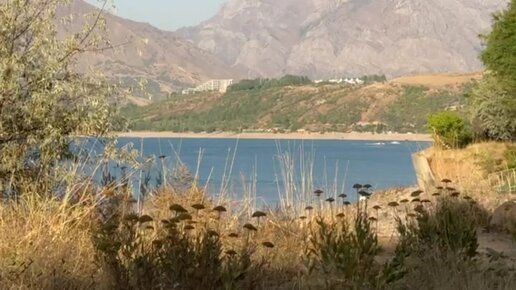 Plyaj yovvoyi va yalangoch, hamma