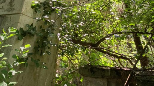 Красноярскідегі шлюздер