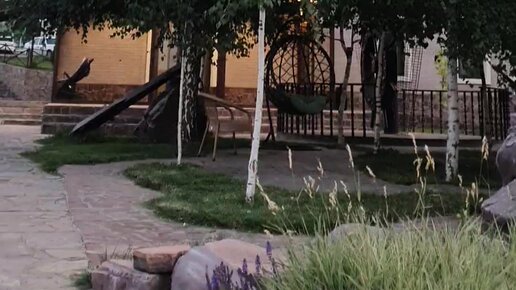 Qora va oq ayol ortasidagi fotosuratlar va jinsiy aloqani koring