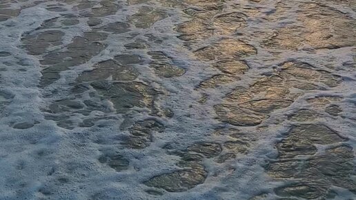 Rossiyada porno pikap rassomlar