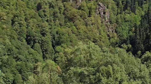 Yosh eski jinsiy aloqa