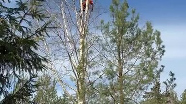 Видео о моей работе