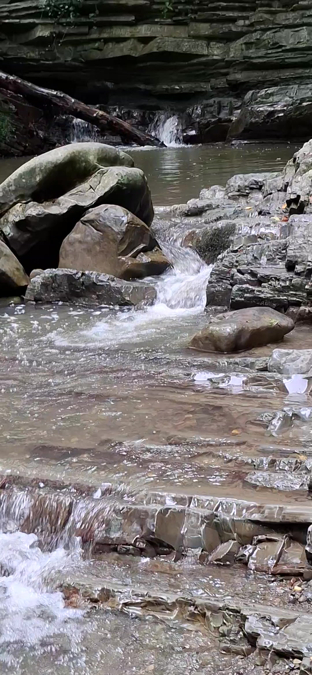 Оңтүстіктегі орыс секс