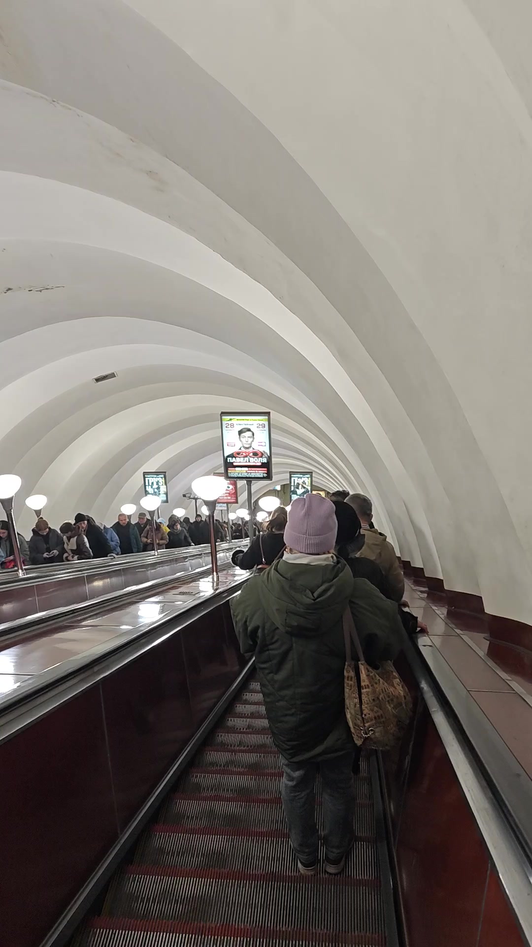 Ешек бейнеңде блят