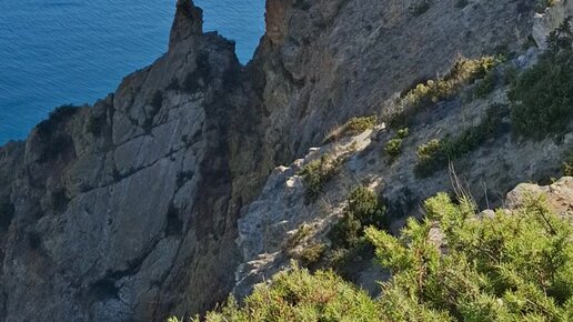 Күйеуінің алдында әйелге арналған куннилингус