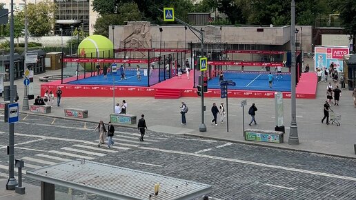 Соққылар жыныстық қатынасқа түседі