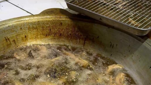 Tropik jinsiy aloqa onlayn