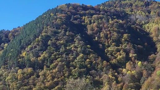 Үйдегі секс туралы жеке мұрағаттан