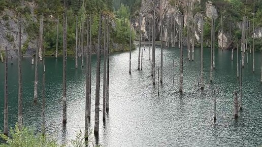 Әйелдердің зәр шығарудағы жапондық порно видеолары